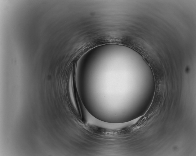 X0000098170084200805011023