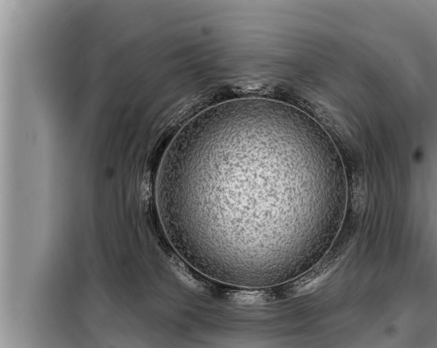 X0000098170085200805011023