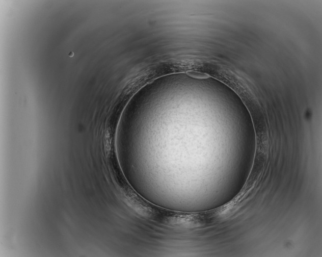 X0000098170086200805011023