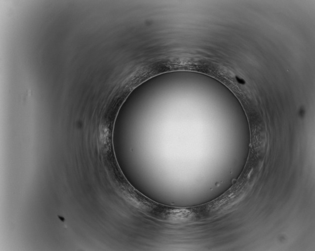 X0000098170087200805011023