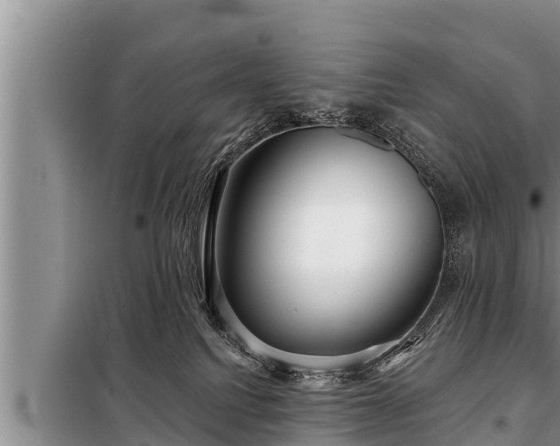 X0000098170088200805011023