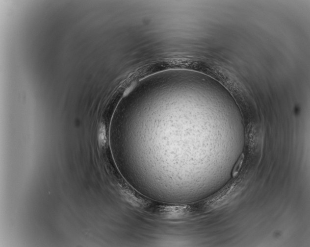 X0000098170089200805011023