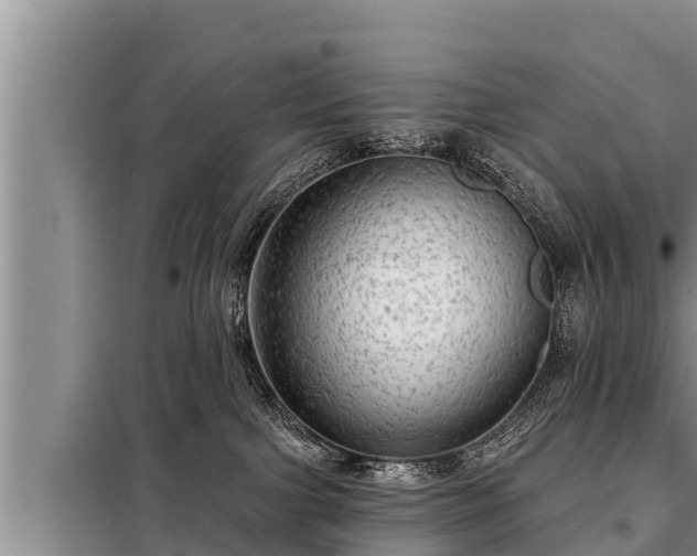 X0000098170091200805011023