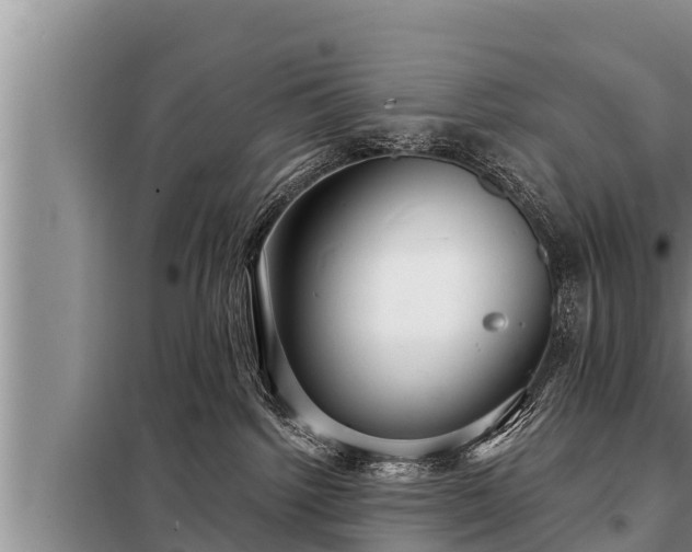 X0000098170092200805011023