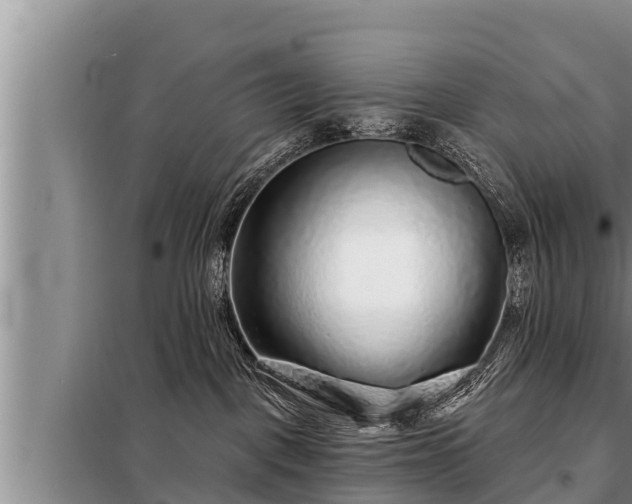 X0000098170093200805011023