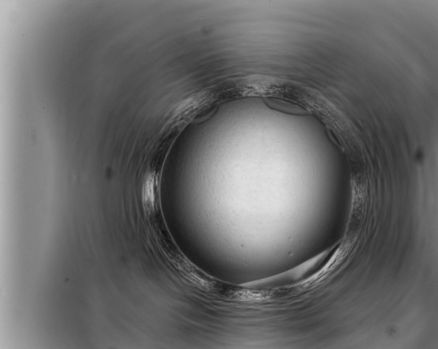 X0000098170094200805011023