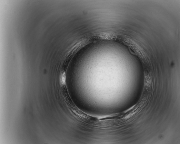 X0000098170095200805011023