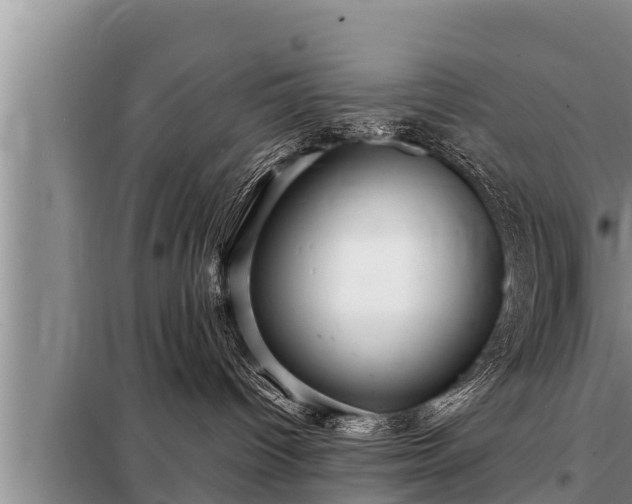 X0000098170096200805011023