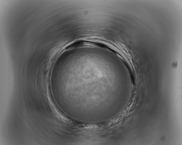 X0000098170097200805011022