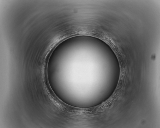 X0000098170098200805011022