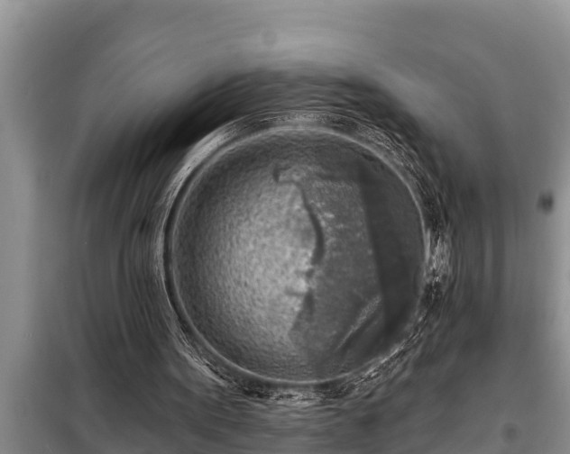 X0000098170099200805011022