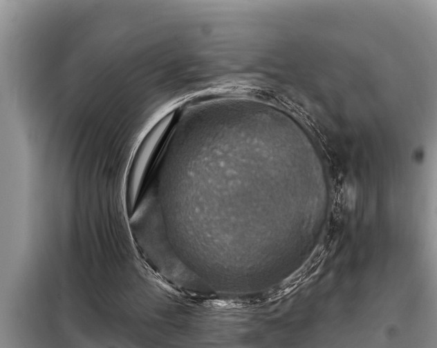 X0000098170100200805011022