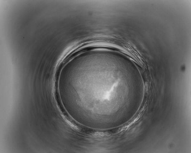 X0000098170101200805011022