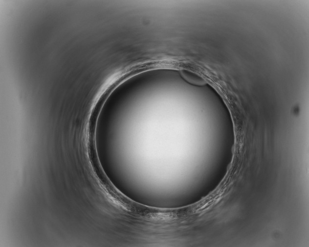 X0000098170102200805011022