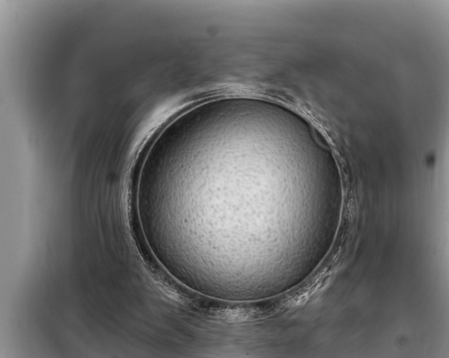 X0000098170103200805011022