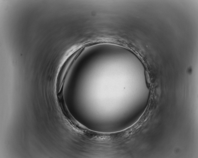 X0000098170104200805011022