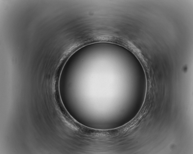 X0000098170106200805011022