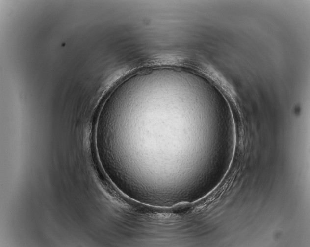 X0000098170107200805011022