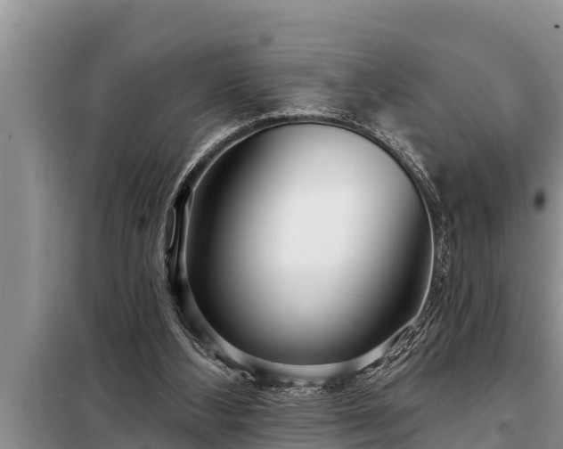 X0000098170108200805011022