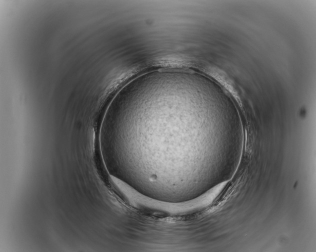 X0000098170109200805011022