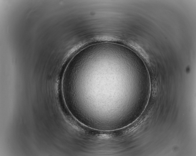 X0000098170111200805011022