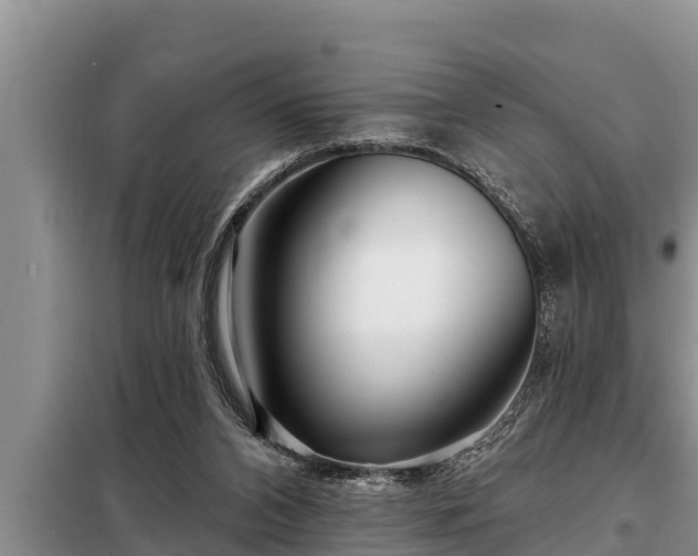 X0000098170112200805011022