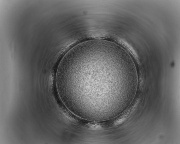 X0000098170113200805011022