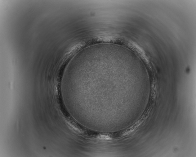 X0000098170114200805011022