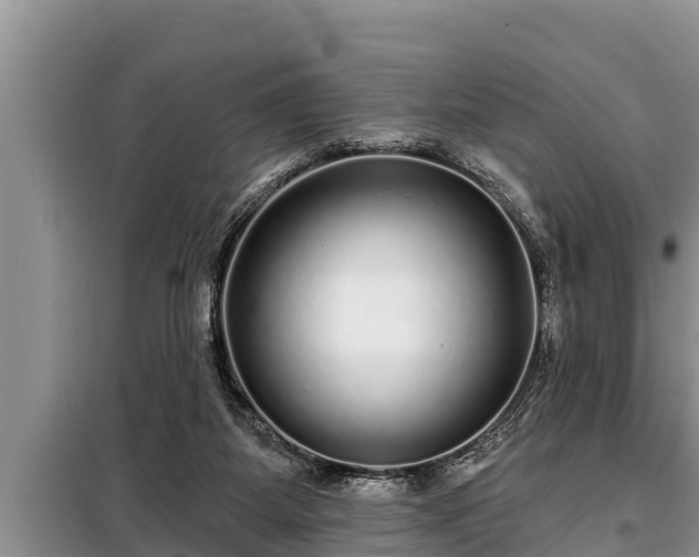 X0000098170115200805011022