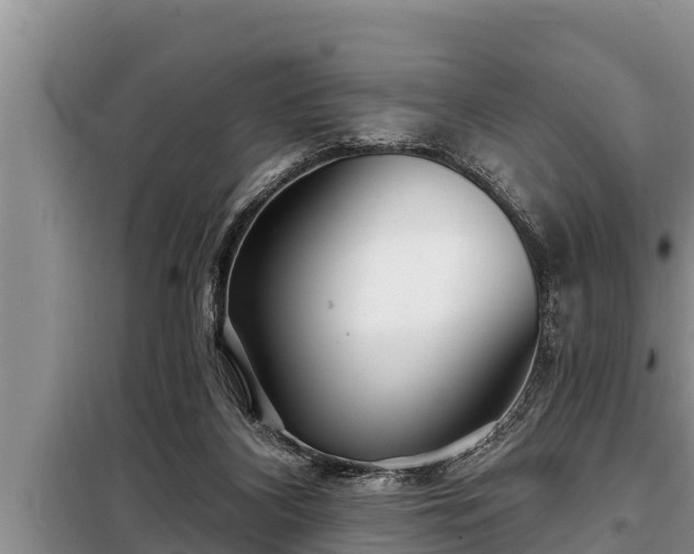 X0000098170116200805011022