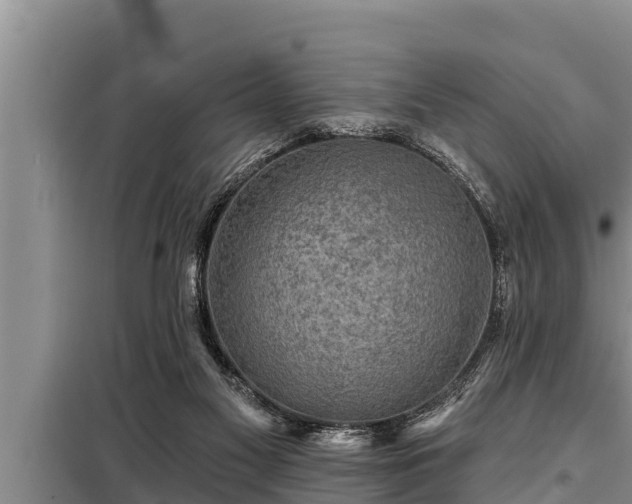 X0000098170117200805011022