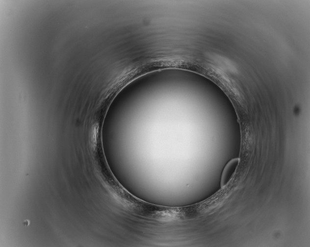 X0000098170118200805011022