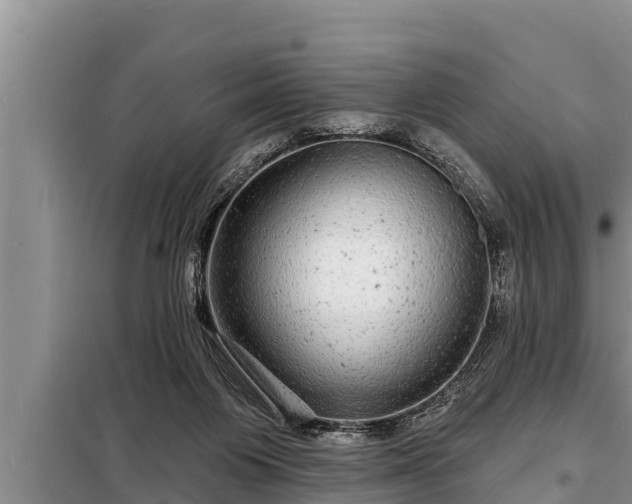 X0000098170119200805011022