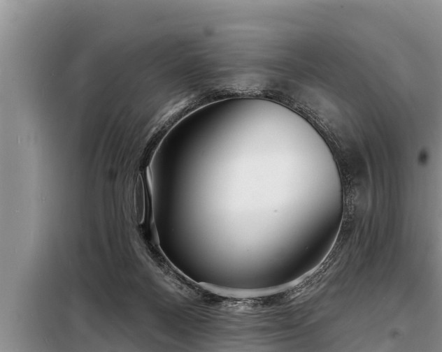 X0000098170120200805011022