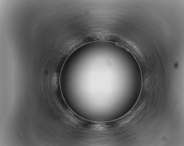 X0000098170121200805011022