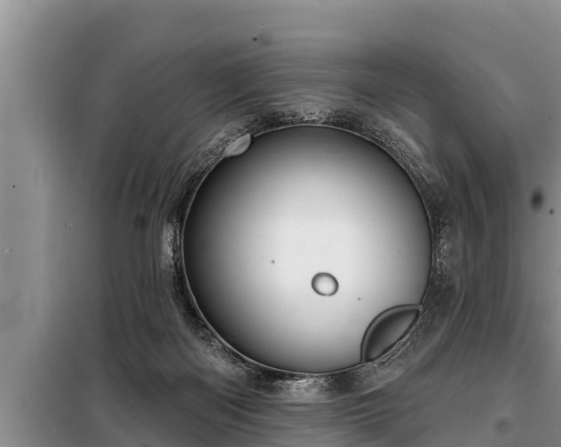 X0000098170122200805011022