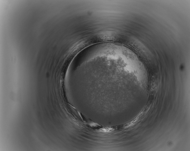 X0000098170124200805011022