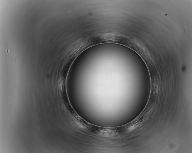 X0000098170125200805011022