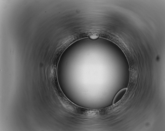 X0000098170126200805011022