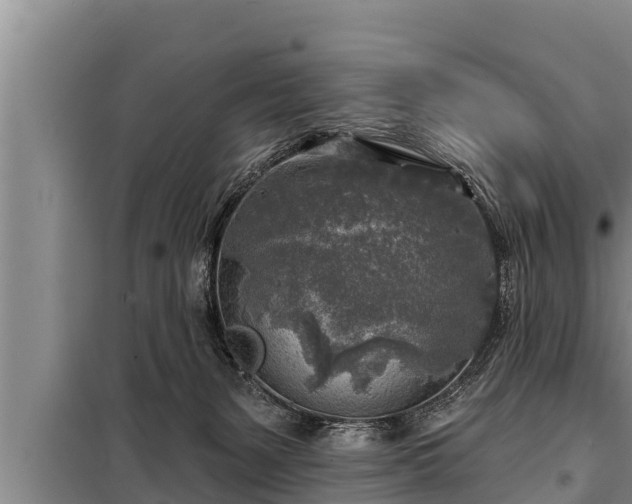 X0000098170127200805011022