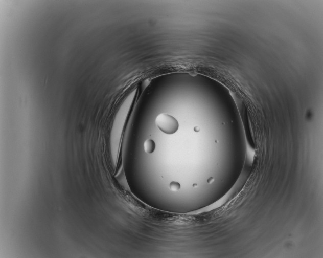 X0000098170128200805011022