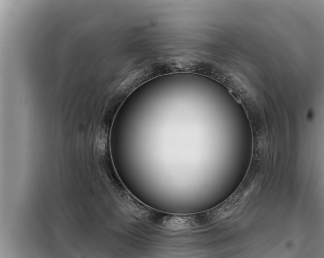 X0000098170129200805011022