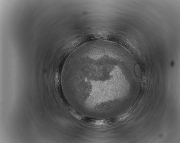 X0000098170130200805011022