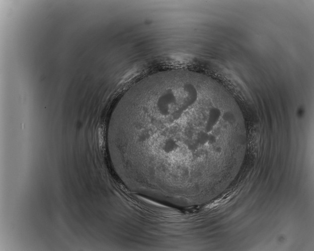 X0000098170131200805011022