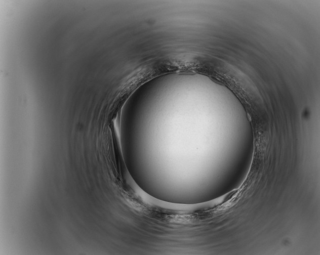 X0000098170132200805011022