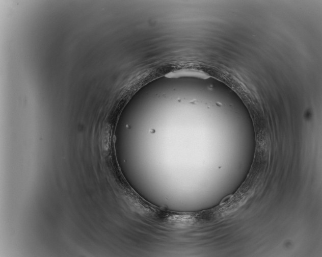 X0000098170133200805011022