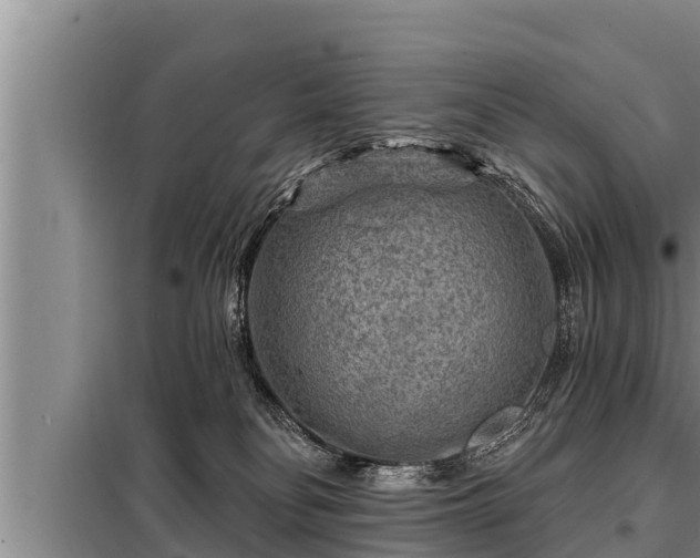 X0000098170134200805011022