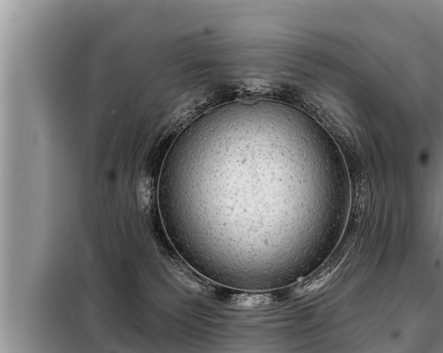 X0000098170135200805011022