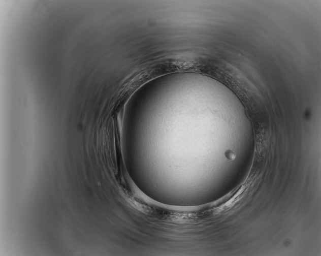 X0000098170136200805011022