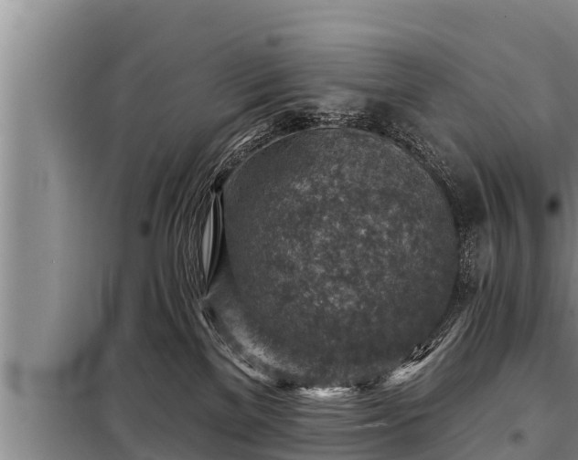 X0000098170137200805011022